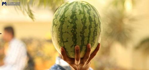 在哪里可以吃娱乐圈的瓜